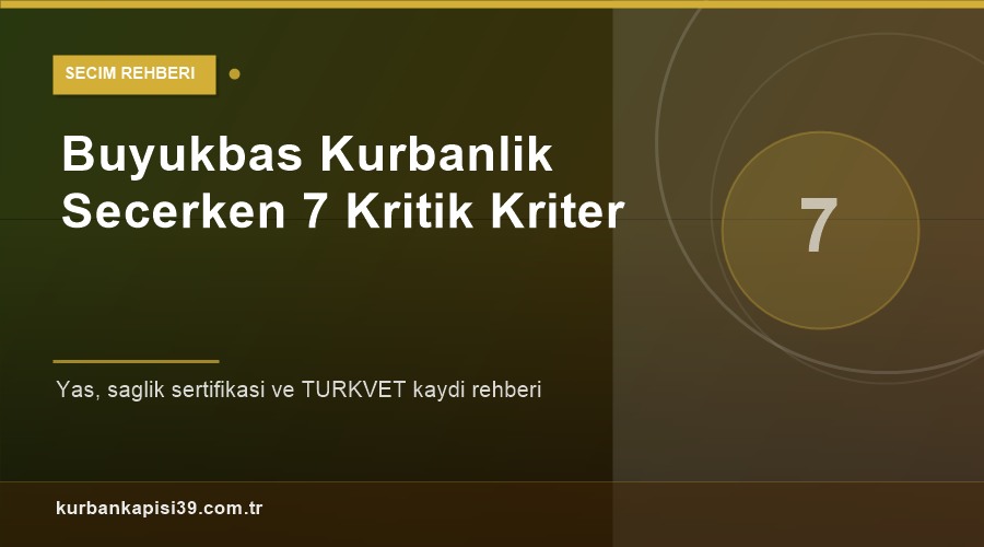 Büyükbaş Kurbanlık Seçerken Dikkat Edilmesi Gereken 7 Kritik Kriter